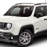 Jeep-Renegade-sport-wild